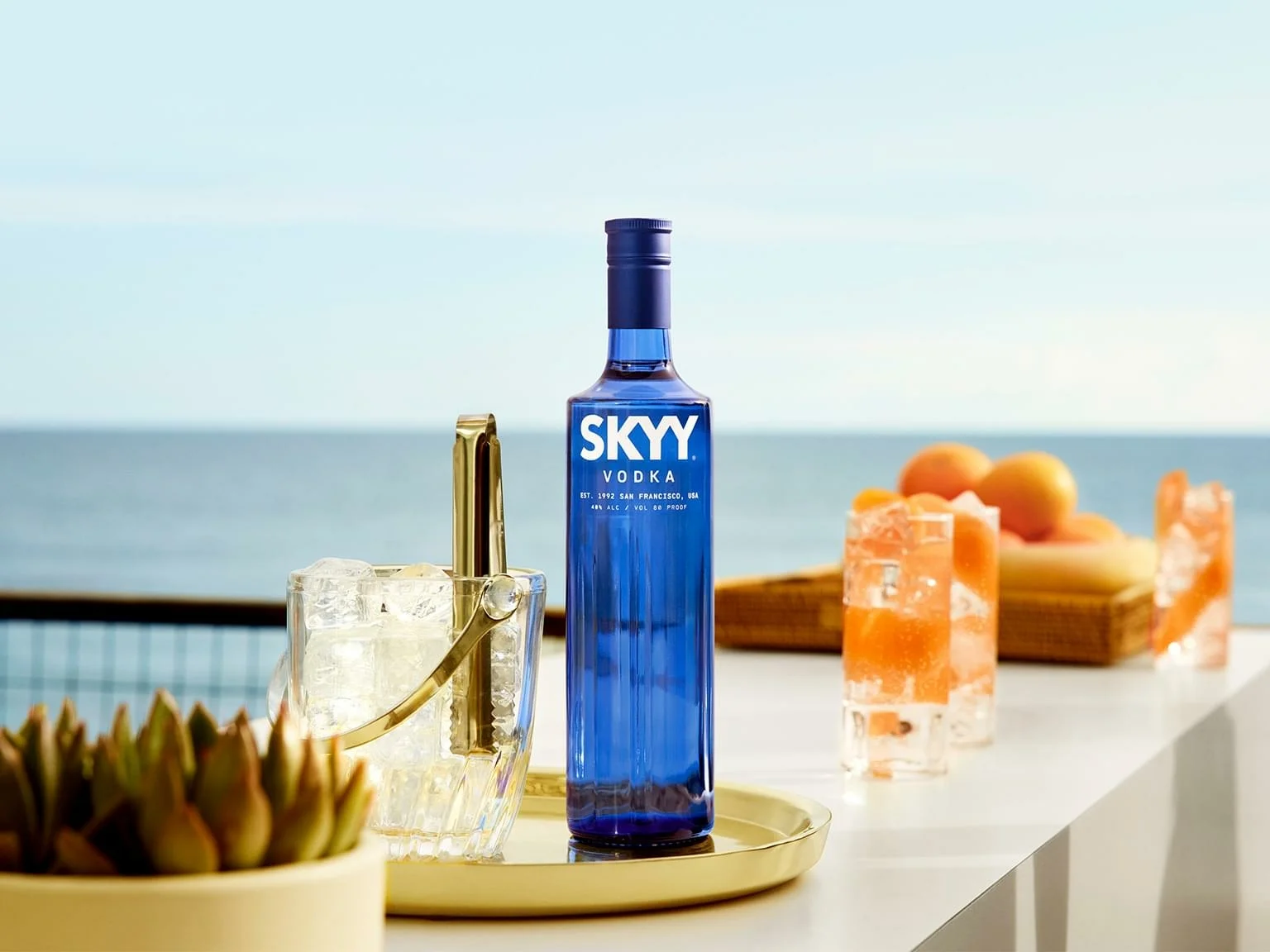 Skyy Vodka 1l 40% DRS
